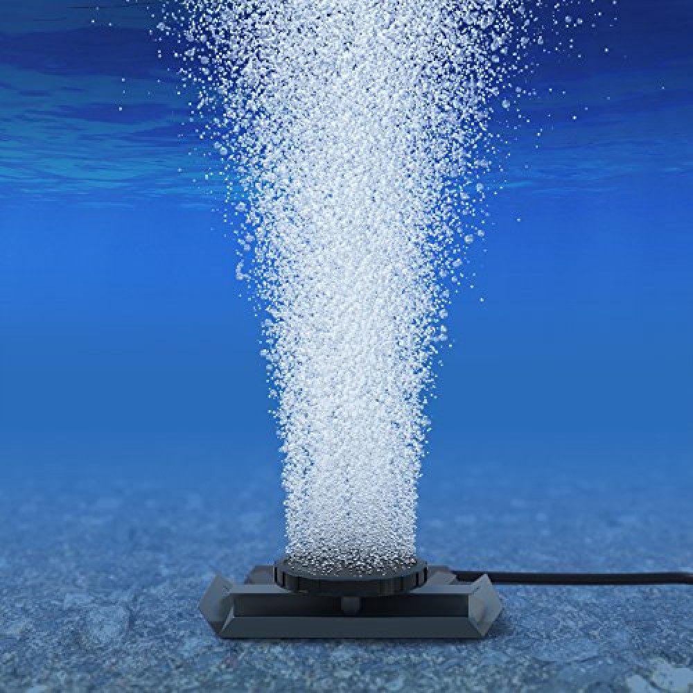 How Does A Fish Tank Aerator Work