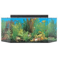 SeaClear 26 gal Flat Back Hexagon Acrylic Aquarium Combo Set, 36 by 12 by 16", Clear