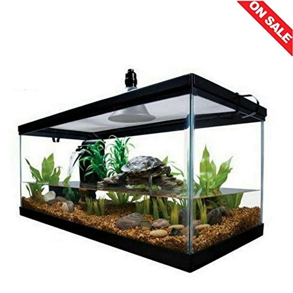 Reptile Habitat Setup Aquarium Tank Kit Filter Screen Lid Bask Lamp ...